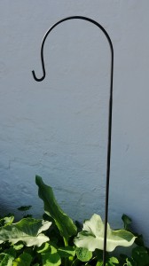 IMG_20210710_142110 (2)